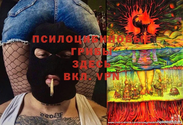 твердый Алексин