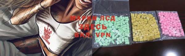крисы Алзамай